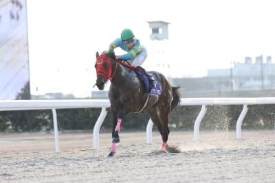 北陸・東海チャンピオンシップ2025 中日スポーツ杯 第29回 ライデン